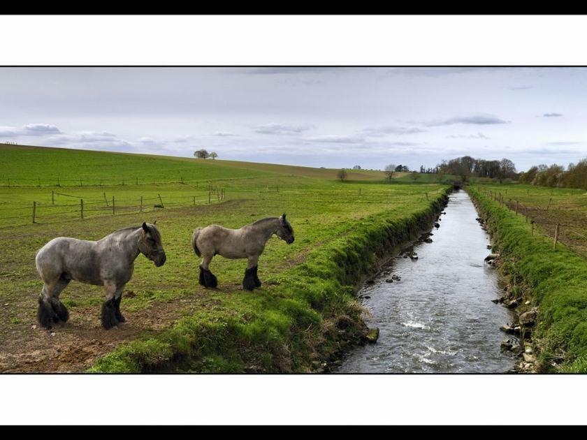 La Ferme Des Moulineaux Otel Bailly  Dış mekan fotoğraf